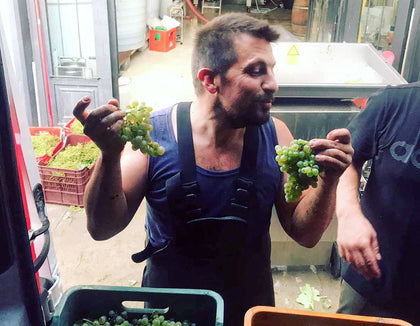Pupo Nicola Nardone Natural Winemaker holding grapes
