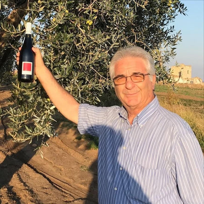 antonio demaio in vineyard holding nero di troia rose