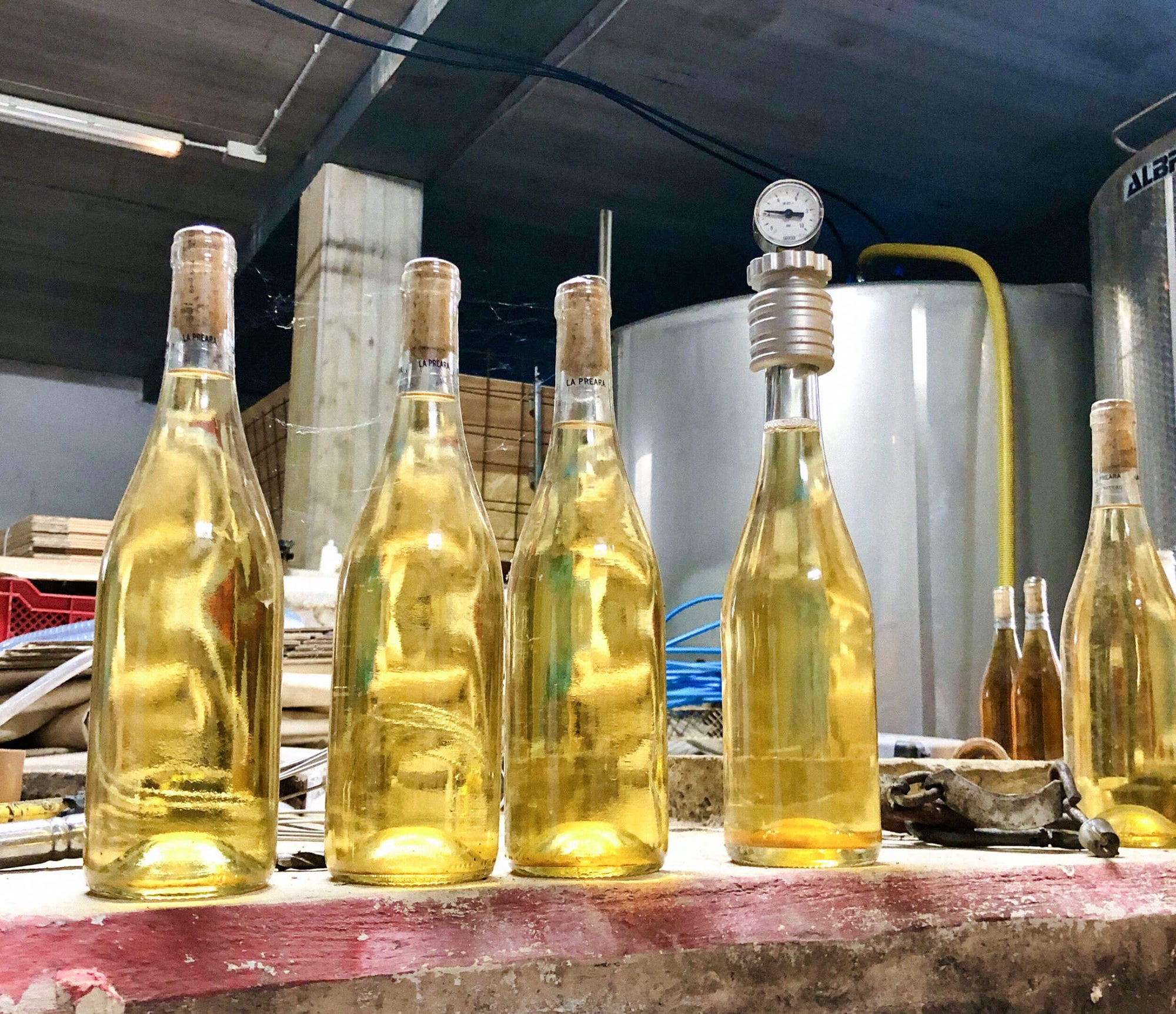 Five bottles of white wine during bottling in winery
