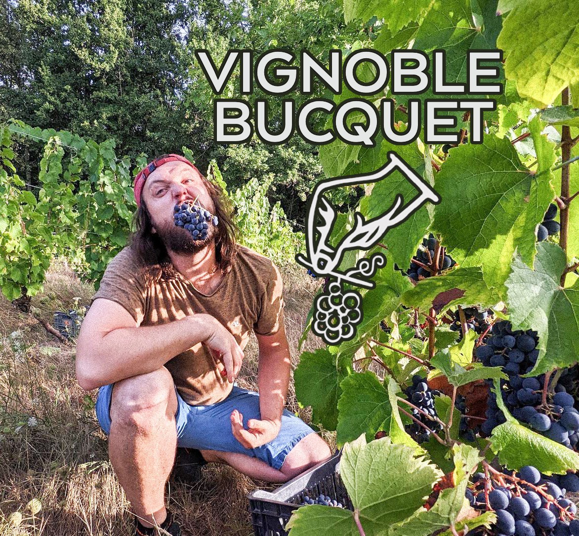 Vignoble Bucquet