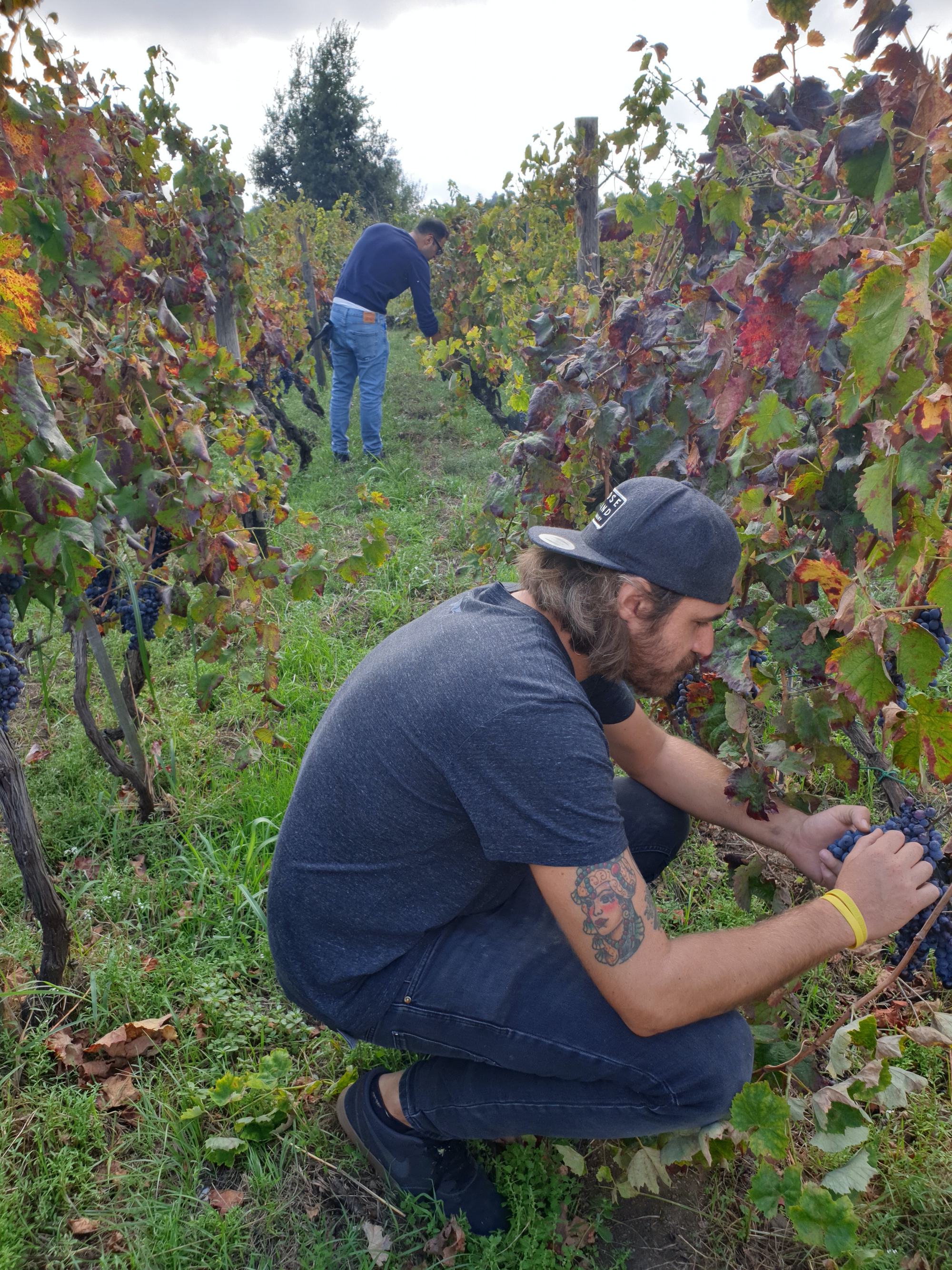 Manciaciumi, natural wine from Mount Etna, Sicily