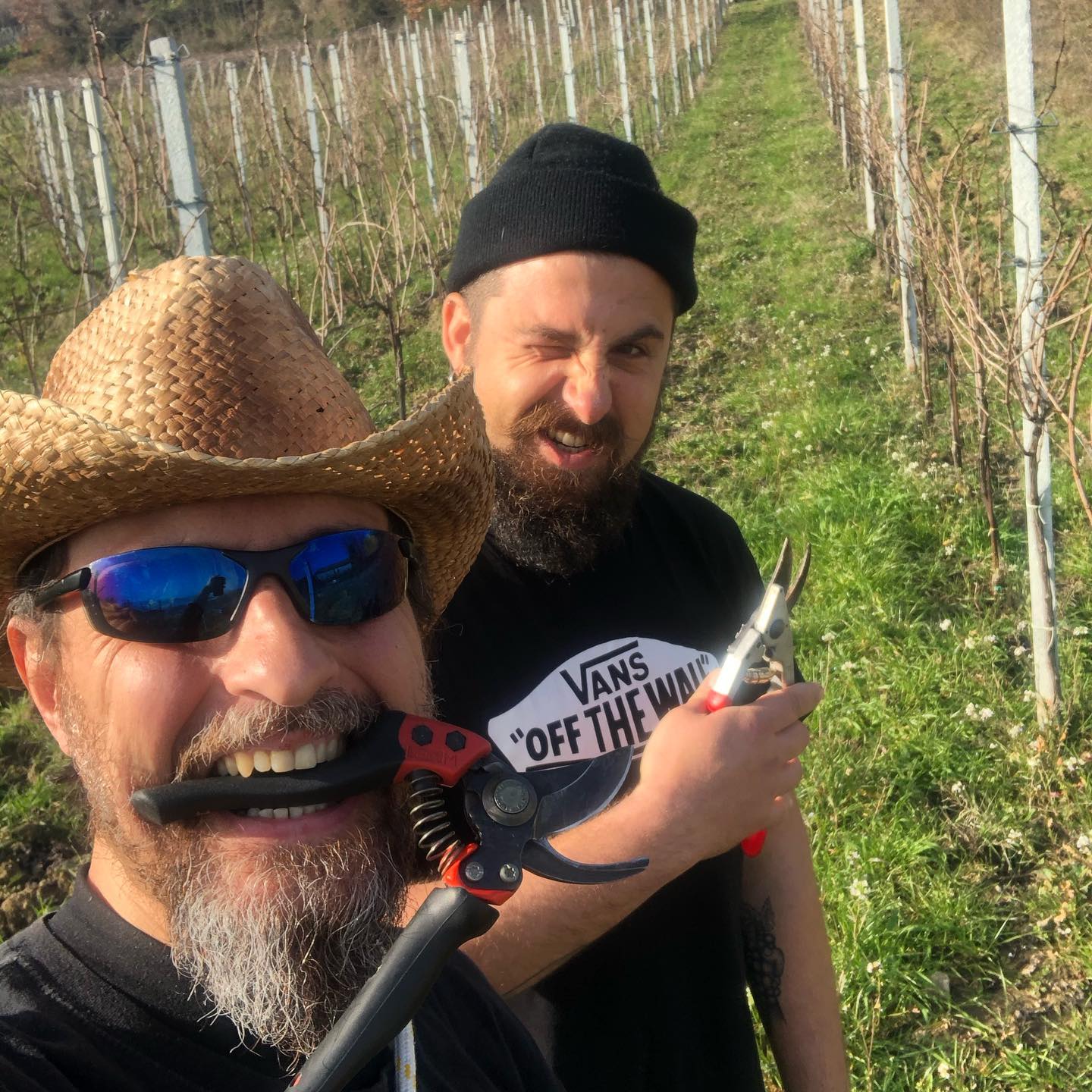 Enio and Friend, Canlibero, vineyard, harvest, natural winemaker, producer, Campania, Italy