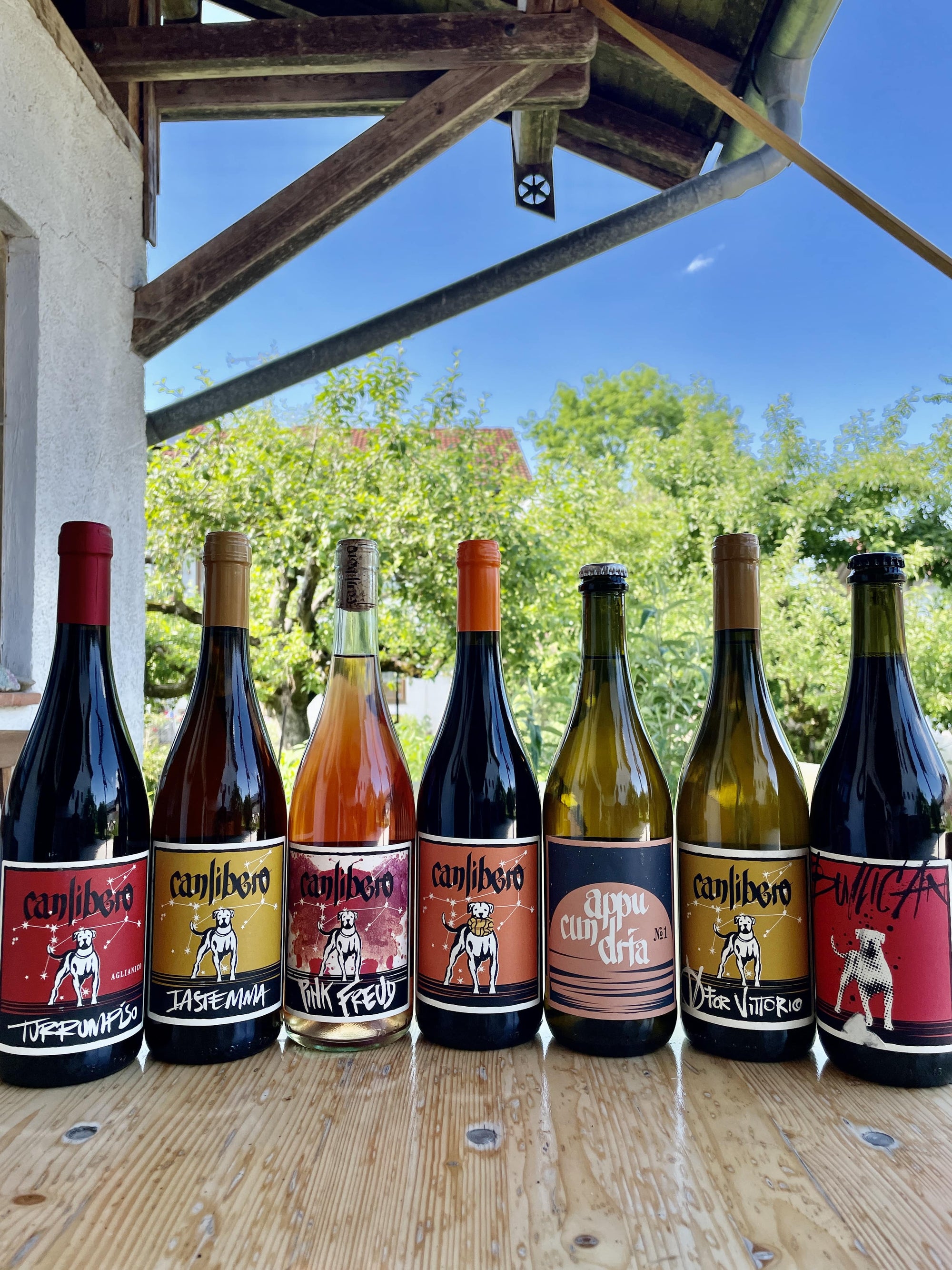 Group of wine bottles on a wooden table outdoors