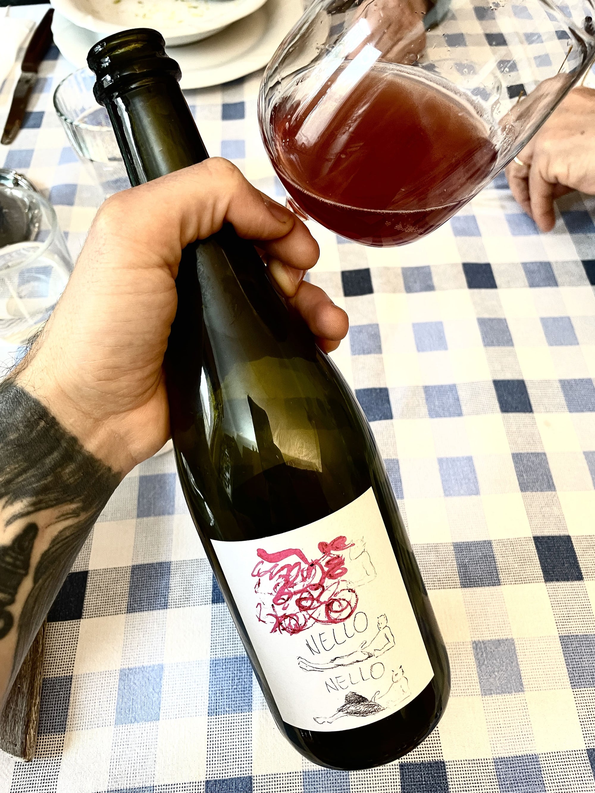 Person holding a bottle of wine with a glass filled with red wine on a checkered tablecloth.