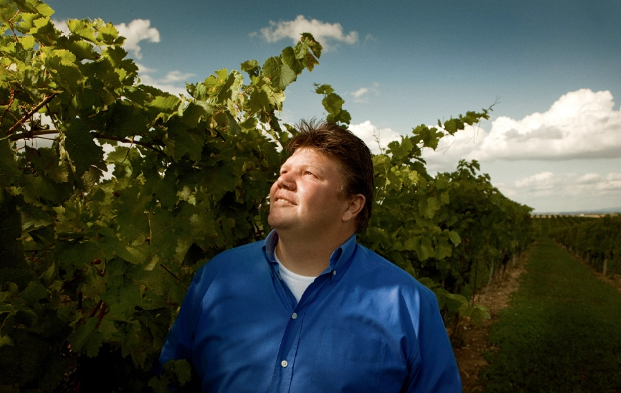 Joerg Bretz, Austria, Österreich, vineyard, natural winemaker, naturwein, harvest, portrait