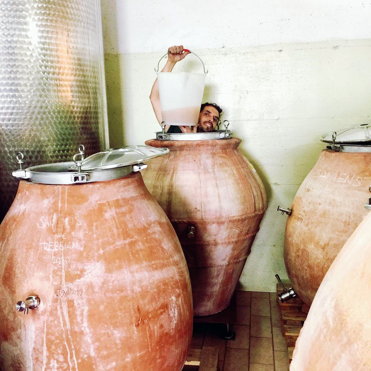 La Via Del Colle, natural winemaker, Emilia Romagna, Italy, Amphora wine
