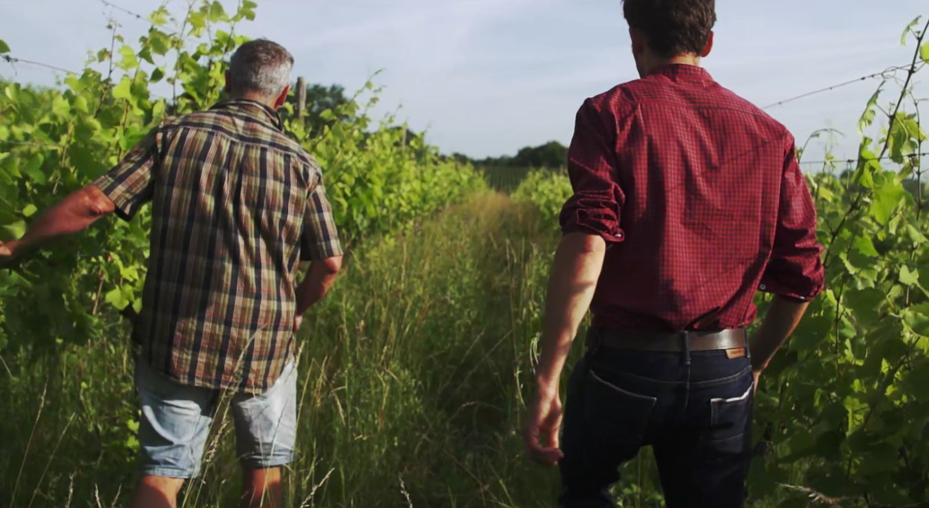 Domaine-Lissner-Walking-Wild-Vineyard