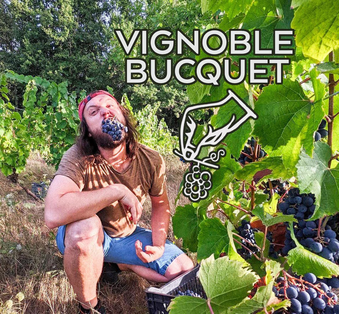 Ludovic Bucquet eating grapes in his vineyard.