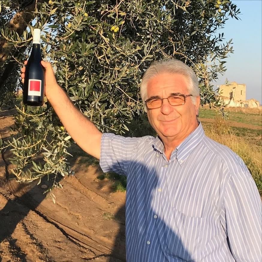 Tenuta De Maio, Olive grove, vineyard, natural winemaker Apulia, Puglia, Italy, Nero di Troia